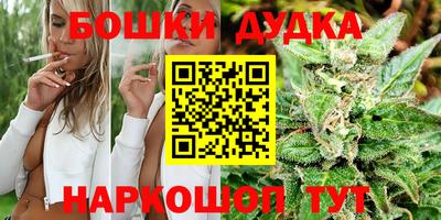 прущий лед Будённовск