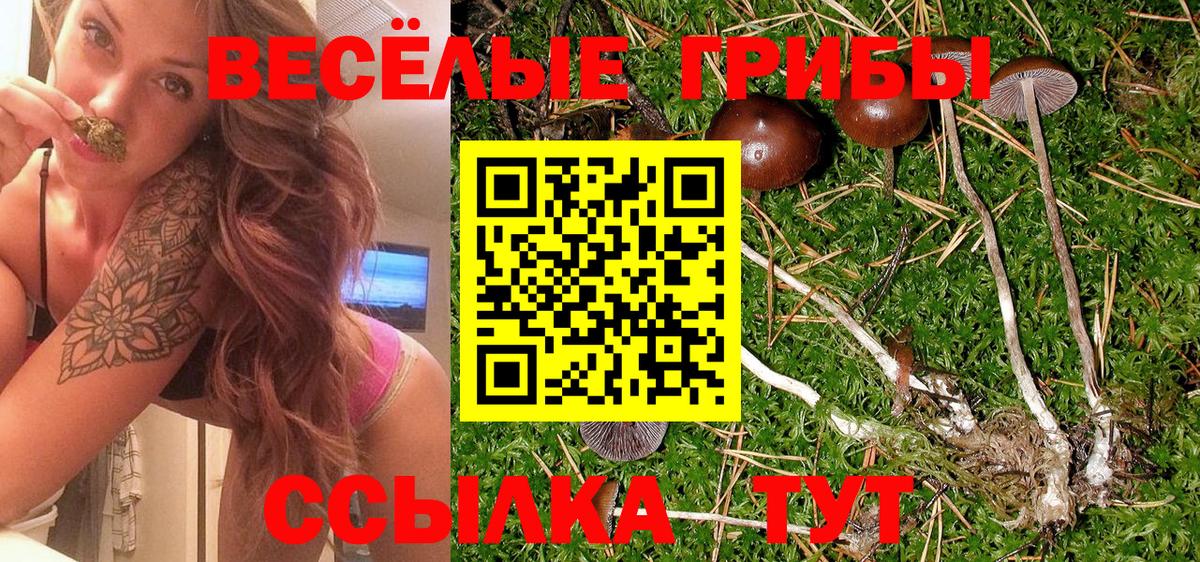 Псилоцибиновые грибы Cubensis  Вход с VPN  Краснодар 