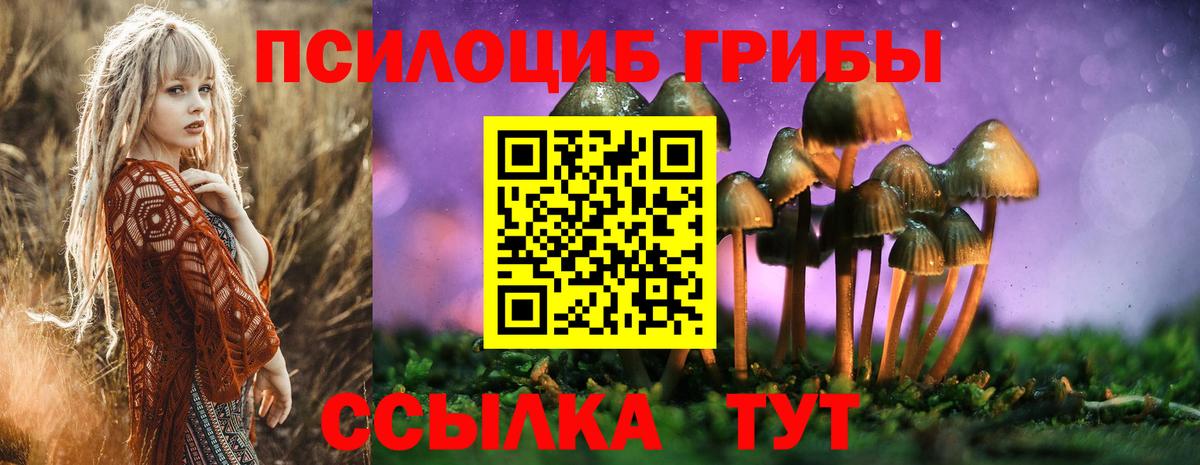 Псилоцибиновые грибы Psilocybine cubensis Краснодар